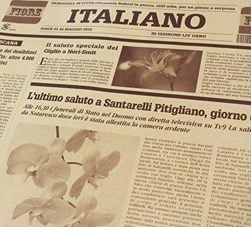 【フジパック】 イタリア 新聞紙柄 包装紙 ラッピング 100枚 おしゃれでかわいいデザイン (ショコラ)