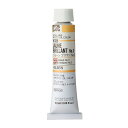 ホルベイン 油絵具 H035 20ml ジョーンブリヤンNo.3 00035