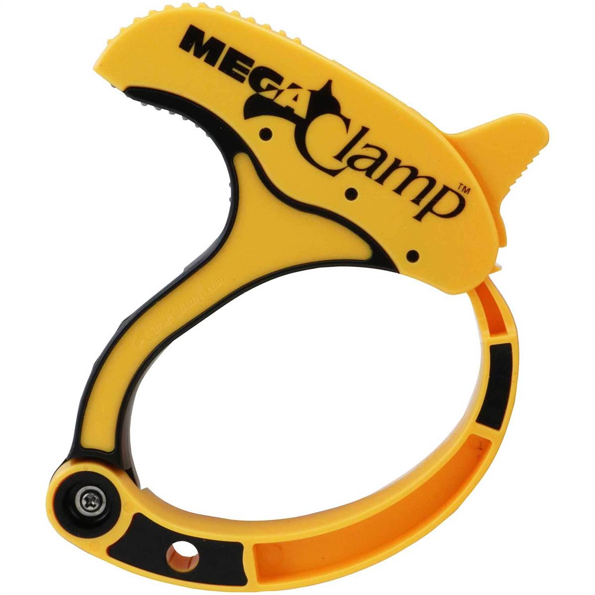 イーバリュー(E-Value) ケーブルクラ