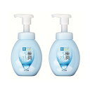 肌ラボ 極潤 ヒアルロン泡洗顔料 160ml×2個セット