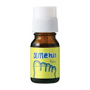 コモライフ ビューナ 足爪きれい (10ml) ネイルオイル 足爪 ネイル ケア 補修 保湿 植物美容オイル 日本製