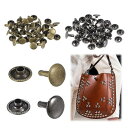 PAVIKE 両面カシメ レザークラフト材料 100組セット リベットパーツ カシメパーツ 2色 バネホック DIY手作り レザークラフトパーツ 靴、バッグ、ズボンに最適 (頭径6mmx足径6mm)