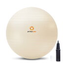 【ネット限定】 プリマソーレ フィットネスボール 空気入れ付き バランスボール フィットネス 65cm エクルベージュ