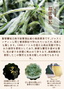 「新入荷」2023年新茶 店長イチオシ 中国茶 極上黄茶 花茶 踏雪蘭妃100g ハズレなし宣言 四川省蒙頂山産 標高1000メートル以上 烏龍茶 台湾ウーロン茶 茶葉 送料無料 3