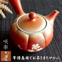 急須 おしゃれ 常滑急須 日本製 お茶が美味しくなる 常滑焼 きゅうす 桜 さくら 花 かわいい 陶器 まろやか 上品 茶こし付き 贈り物 プレゼント ギフト ...