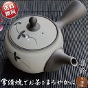 急須 おしゃれ 常滑焼 かわいい お茶が美味しくなる ティーポット 日本製 きゅうす 帯網 カフェポット 丸い 茶こし付き ギフト 贈り物 プレゼント 茶器 と...