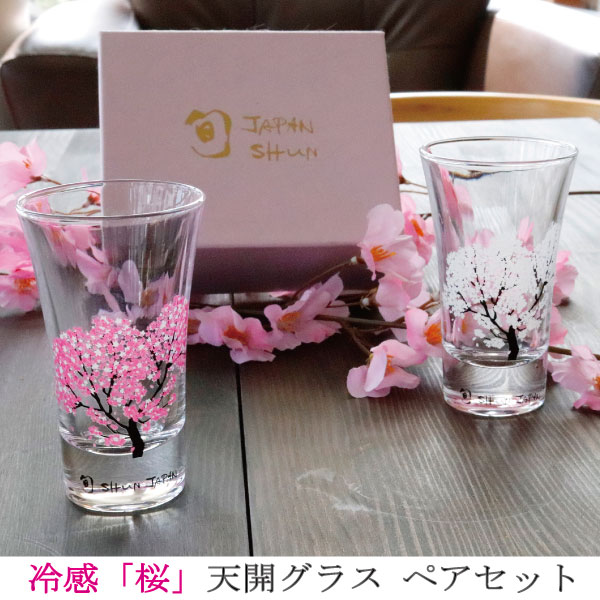 冷感桜 丸モ高木陶器 グラス 天開 ペアセット 正規品 温度で変化 さくら ぐい呑み ガラス 酒器 カップ おしゃれ お花見 日本酒 冷酒 ショットグラス 日本製 プレゼント 贈り物 ギフト