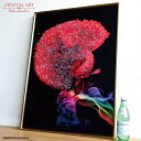 訳あり クリスタルアートパネル おしゃれ 絵 ウォールデコ 壁飾り インテリアパネル 大きい絵 ベタ 魚 美しい レッド 赤 熱帯魚 きれい 綺麗 立体 モダン 額 BIG