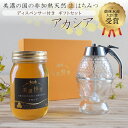 美濃蜂蜜 ハニーディスペンサー付き ギフトセット 農林水産大臣賞受賞 はちみつ 600g 非加熱 国産 アカシア 生 蜂蜜 100% 純粋 日本製 自然養蜂 美...