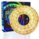 LED チューブライト ロープライト 2芯タイプ 10m 直径10mm イルミネーション電源付き 防水 折り曲げ 造形用 (温白(ウォームホワイト) 300球)