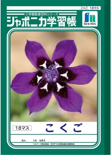 ショウワノート ジャポニカ学習帳 B5判 こくご 18マス 3冊パック JL-10-2*3