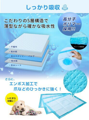 サンプル画像2