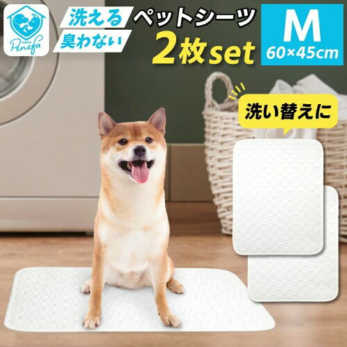 サンプル画像2
