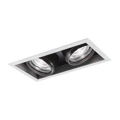 パナソニック(Panasonic) 天井埋込型 LED 電球色 ユニバーサルダウンライト J12V50形 35W 器具相当 配光調整機能付 2灯用 埋込穴100×200 TOLSO NTS64153