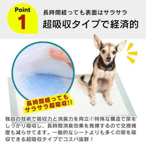 サンプル画像2