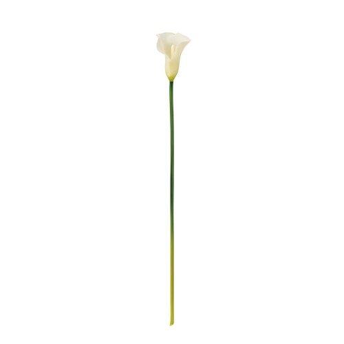 Rakuten - 東京堂(Tokyodo) 造花 アンヌカラー #001クリーム 花L10×L60cm 1入 FM005426-001