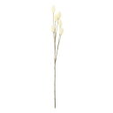 造花 シルクフラワー 『ポアプランツ クリーム VEG5630』