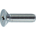 TRUSCO(トラスコ) 皿頭小ネジ ステンレス 全ネジ M6×20 27本入 B06-0620 x 10パック