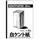 エヒメ紙工 天糊 白ケント紙 B4 TKNT-B4