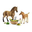 シュライヒ(Schleich) ホースクラブ クォーター馬と赤ちゃん動物のお世話セット 42432