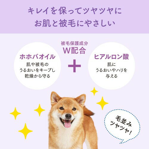 ���ꥨ���� Pet ���ߤ��⤤ ���Ȥ��ä��ꥷ���� �淿���� 20���16P ����������