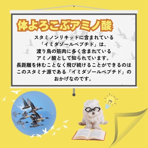 ���祤���ץ饹 �����ߥΥ�ꥭ�å� 40g��12�ĥ��å�