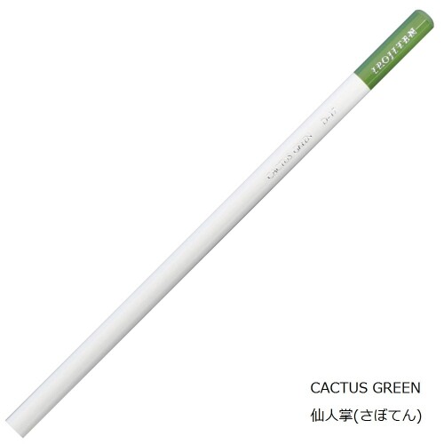 トンボ鉛筆 色鉛筆 色辞典 単色 CI-RD17-6P 仙人掌 6本 mannishboy-24061582 マニッシュボーイ サンプル画像2