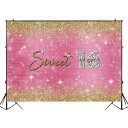 撮影用背景 Sweet sixteen スウィートシックスティーン 誕生日 パーティー 壁紙 ウォールペーパー 飾り付け デコレーション 記念撮影 16歳 バースデー sweet16 (10174-10425) Type-24 ビニール300×200cm