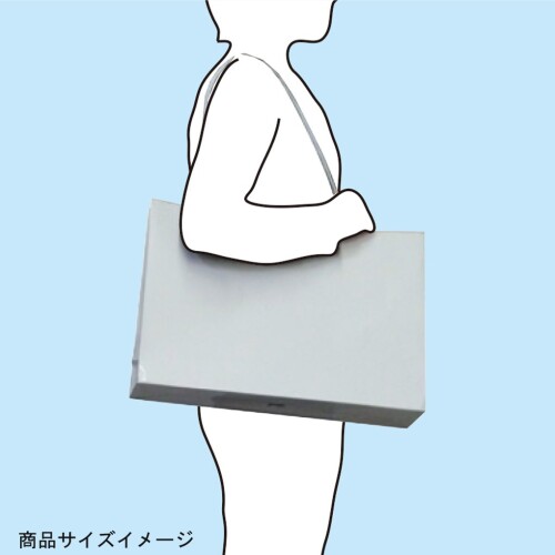 丸玉工業 紙袋 シャイニーバッグ 手提げ袋 Lサイズワイド 黒 10枚 2