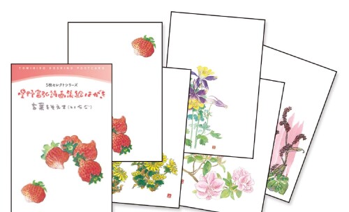 グロリアアーツ 星野富弘 絵はがき 5枚セレクトシリーズ 言葉を添えて いちご No.1262