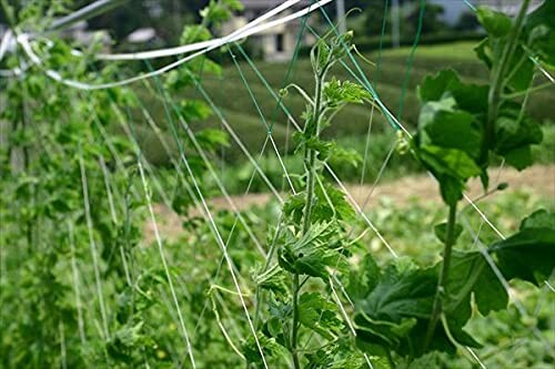 ������ ���夦��ͥå� 18cm 4.8mx18m ��:��/��