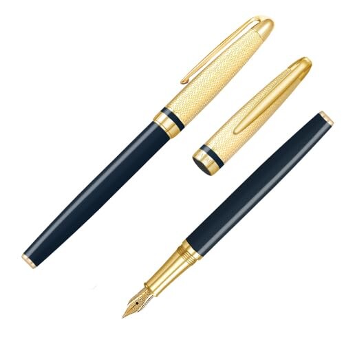 Other - IWI 万年筆 細字 ローリエート万年筆 ナイトブルー 6J056FP-G5G
