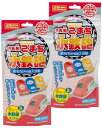 パイレーツファクトリー お風呂で遊べるおもちゃ 水鉄砲 E6系 こまち 2個セット 日本製入浴剤付き