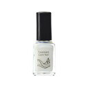 Aiトリートメントケアネイル マニキュア BT001 トップコート 10mL
