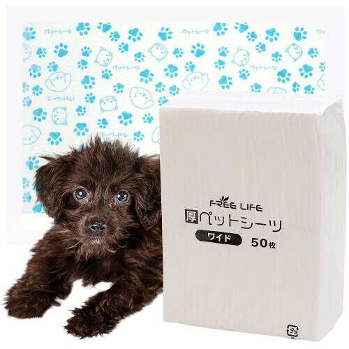 フリーリー ペットシーツ 超厚型 超吸収・防漏ベースフィルム｜犬のトイレトレーニングに，ペット用トイレです, ワイド 50枚 柄付き ワイド50枚(50枚入×1袋) 本体サイズ (幅X奥行X高さ) :60×45cm 原産国: 中華人民共和国 商品コード20082293261商品名フリーリー ペットシーツ 超厚型 超吸収・防漏ベースフィルム｜犬のトイレトレーニングに，ペット用トイレです, ワイド 50枚 柄付き型番zk-ptst02-foot4560BL-50p-Sサイズワイド 50枚カラーブルー※他モールでも併売しているため、タイミングによって在庫切れの可能性がございます。その際は、別途ご連絡させていただきます。※他モールでも併売しているため、タイミングによって在庫切れの可能性がございます。その際は、別途ご連絡させていただきます。