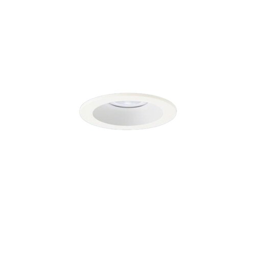 パナソニック(Panasonic) 天井埋込型 LED(昼白色) ダウンライト 浅型9H・高気密SB...