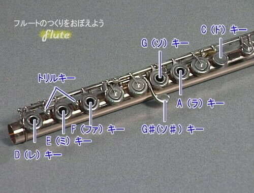 KC 教則DVD フルート用 KDFL-100