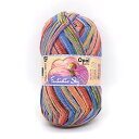 Opal オパール ソックヤーン 毛糸 『ファンタスティックスカイ 6ply 11222番色』