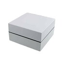 テーブルウェアイースト 重箱 和モダンオードブル スクエア 2段重 18cm ホワイト 仕切り付き