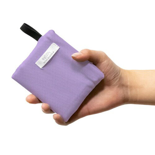 アサヒ興洋 レジャーシート コンパクト 40cm×70cm ライトパープル 軽量 手のひらサイズ 洗濯可能 引っ掛けひも付き CPT25-05