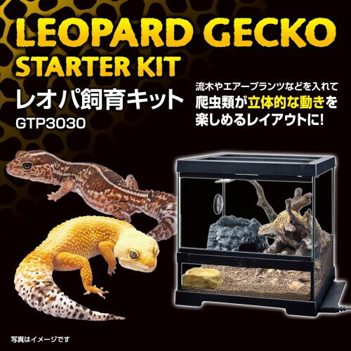 エキゾテラ EXOTERRA レオパ飼育キット...の紹介画像2