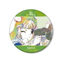 Dr.STONE スイカ Ani Art BIG缶バッジ