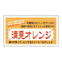 ヒカリ紙工 SMラベル N6880 清見オレンジ 800枚