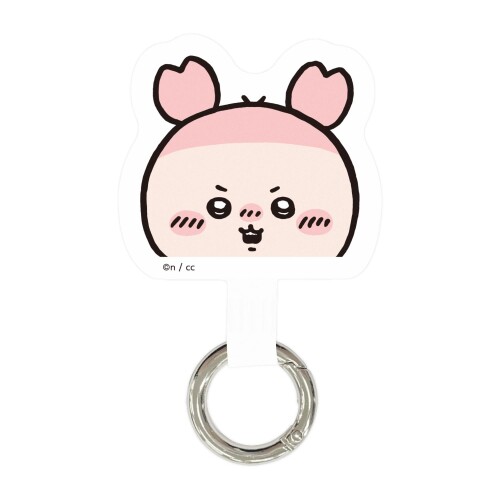 グルマンディーズ ちいかわ マルチリングプラス 古本屋 CK-05G