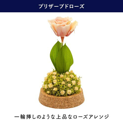 PD COLLECTION プリザーブドフラワー ローズ 日本製 フラワーギフト プレゼント 贈...