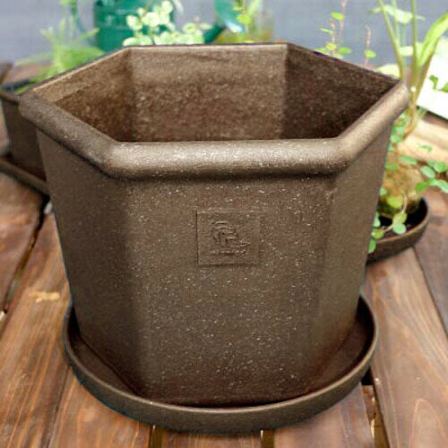 ȬȨ���� �����ץ졼��/������ �ݷ� 8�� �ǾƤ�Ĵ �إ����֥�(Hachiman gardens:arbre)��