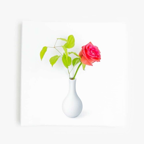 アートデリ ポスター パネル IKEBANA 30cm × 30cm 日本製 軽量 ファブリック IKEBANA-01-02