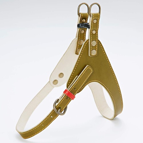 Harness Leash - アドメイト (ADD. MATE) アンティークレザースタイルハーネス Sサイズ グリーン