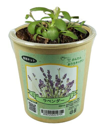 ���󤿤󤪤������å��� ��٥����