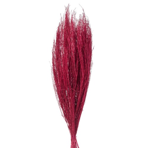 東北花材 ドライフラワー コキア束 ラズベリー 約L30〜50cm 50g入 FD006914-053